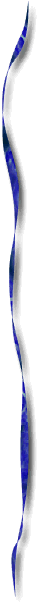 form1.gif (5491 octets)